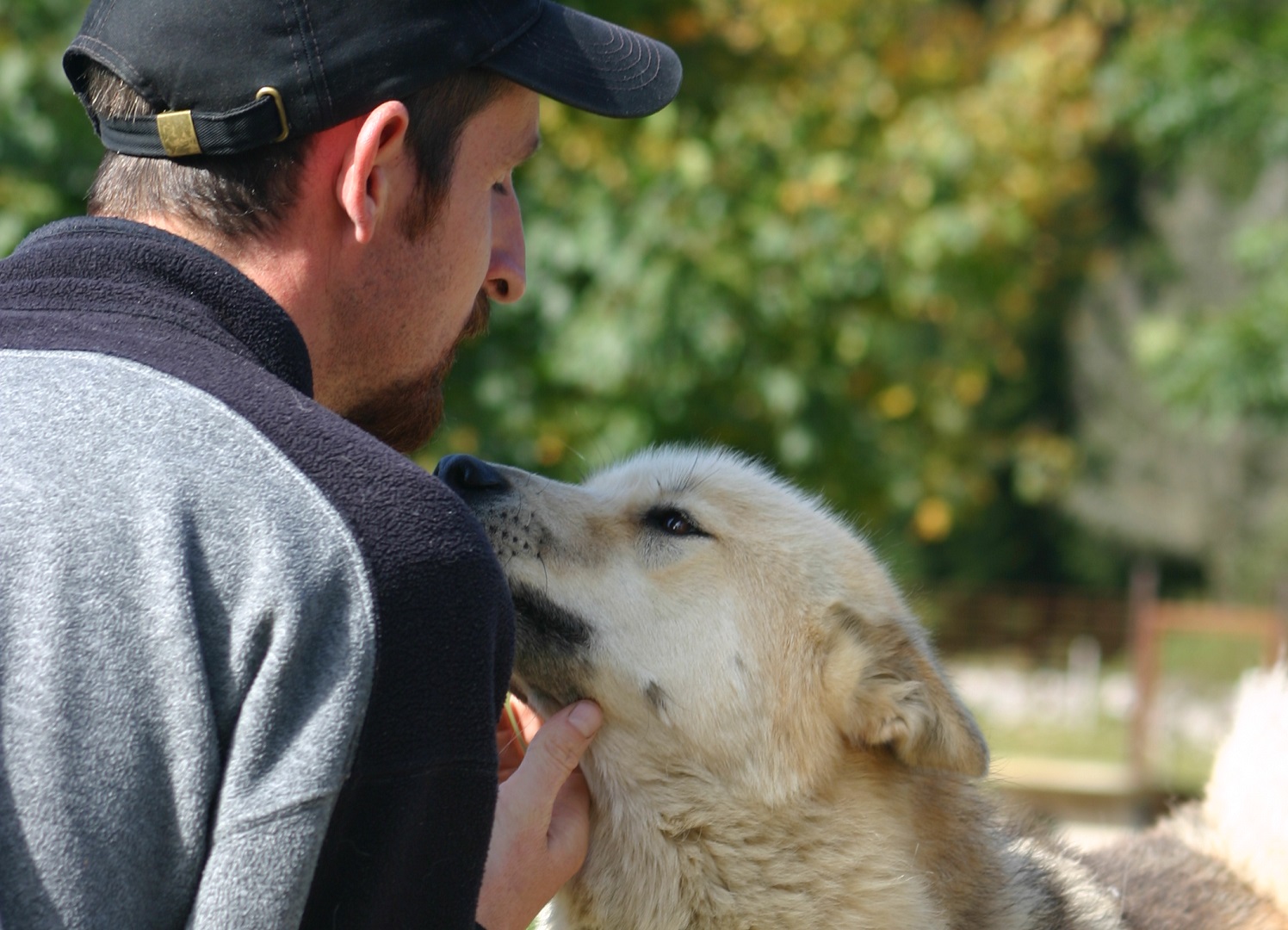 © François Marty - musher