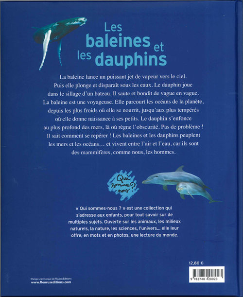 Les Baleines Et Les Dauphins Espace Des Mondes Polaires Les Baleines Et Les Dauphins Espace Des Mondes Polaires