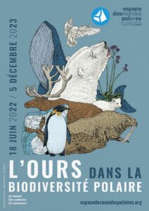 Expo temporaire : L’ours dans la biodiversité polaire