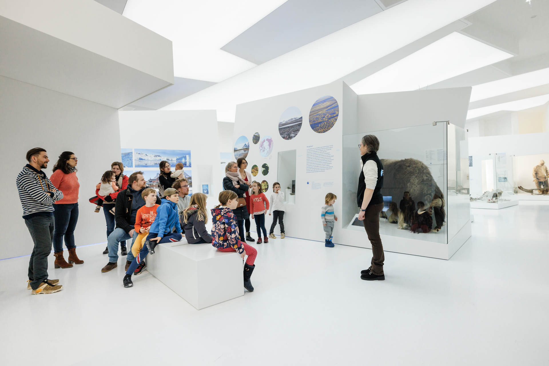 Visite guidée avec une médiatrice culturelle de l'Espace des Mondes Polaires Paul-Émile Victor.