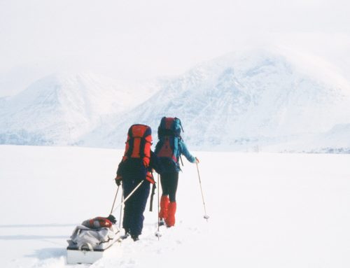 Prochain rdv de la saison culturelle – Partez au Groenland avec Laurent Lemaire