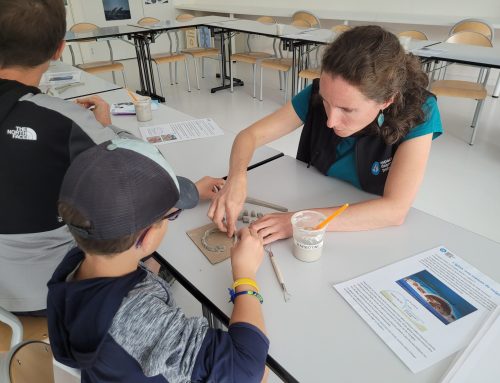 Vacances d&rsquo;automne : un programme plein de surprises !